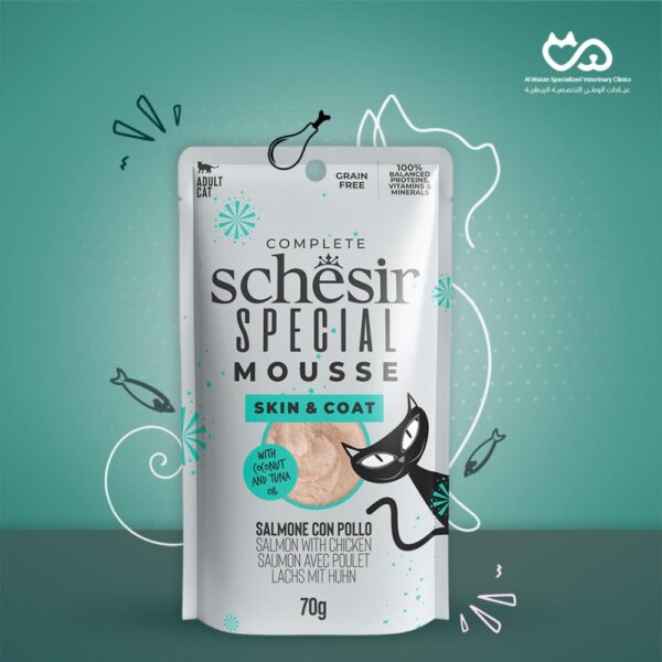 Special Cat Mousse Skin & Coat Zalm & Kip 70 g