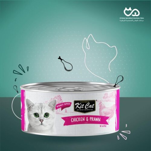 Deboned Chicken & Prawn Can 80g