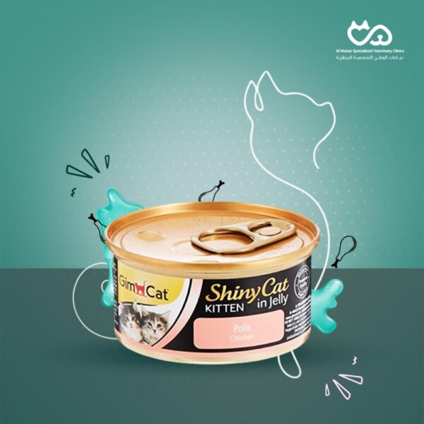 ShinyCat Kitten in Jelly Chicken 70g