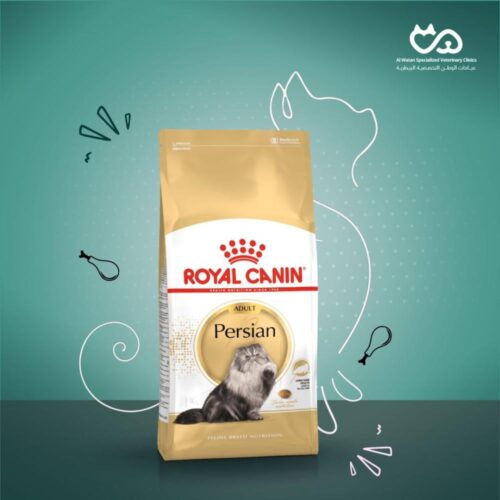 Cat Persian 2Kg