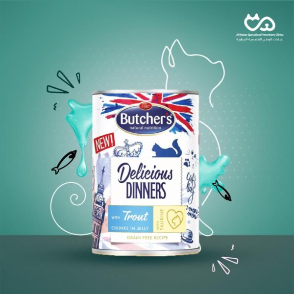 Wet Cat Food with Trout Chunks in Jelly 400g