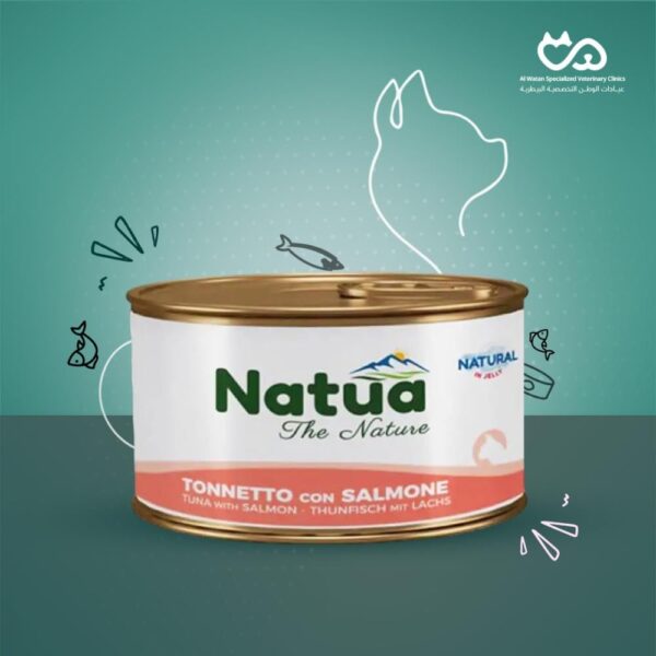 Wet food cat tuna with salmon 85g