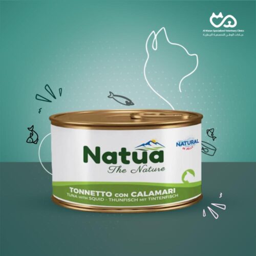 Wet food cat Tuna with squid 85g