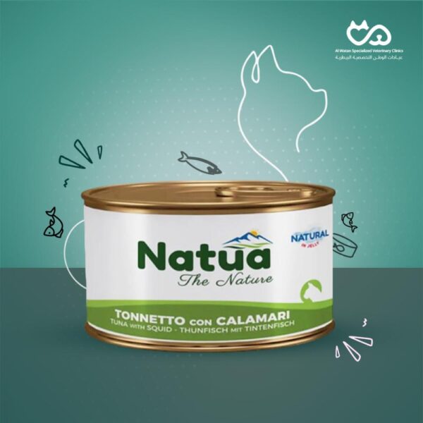 Wet food cat Tuna with squid 85g