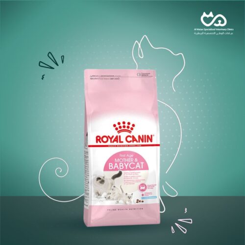 Mother & Baby Cat Food 4kg