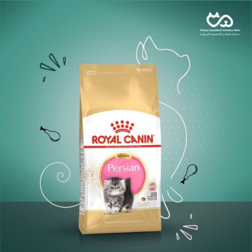 Persian kitten 2 kg