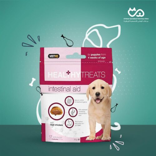 Healthy Intestine & Digestive Chicken Chews For Puppies 50g