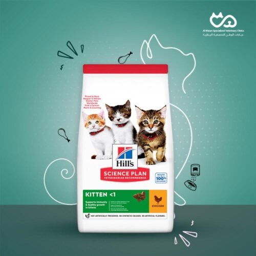 Science Plan Chicken Flavour Kitten Dry Food - 1.5 kg