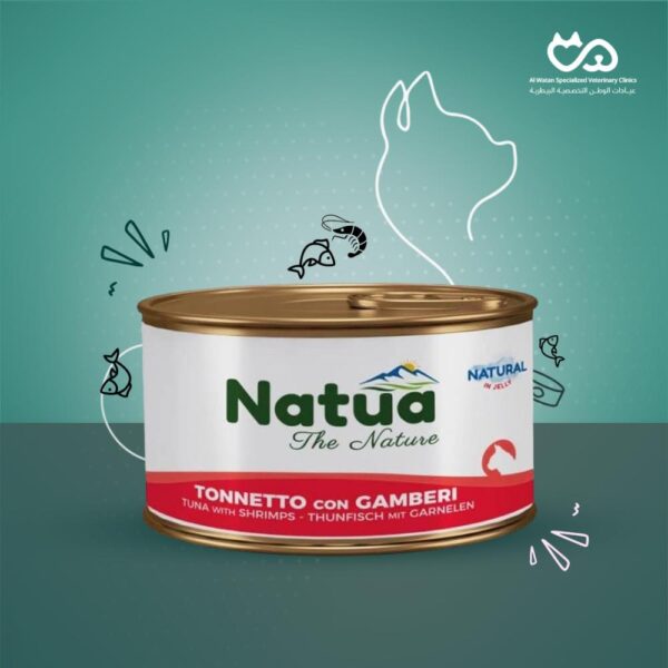 Tuna with Shrimps Wet Cat Food 85g