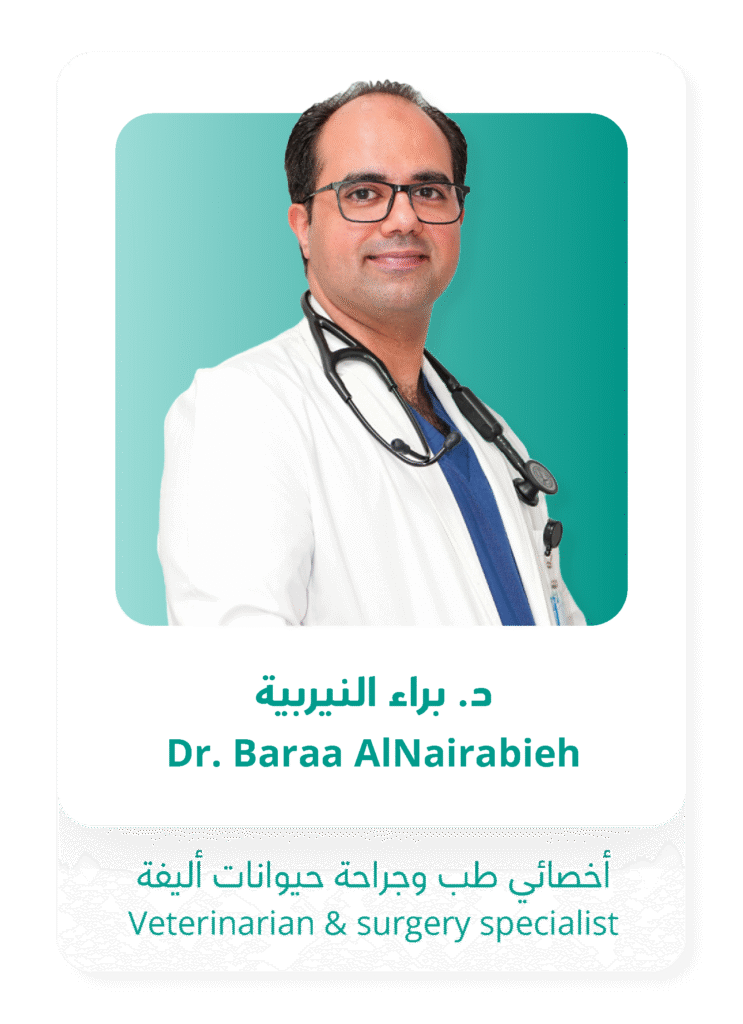 الصفحة الرئيسية