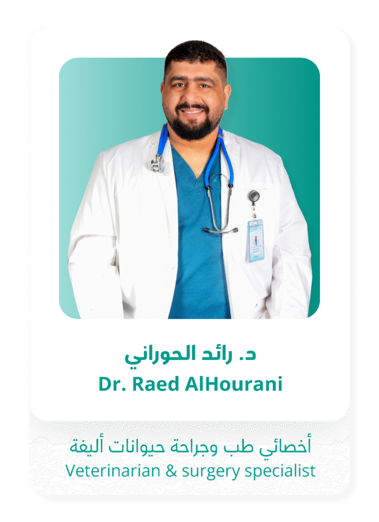 الصفحة الرئيسية