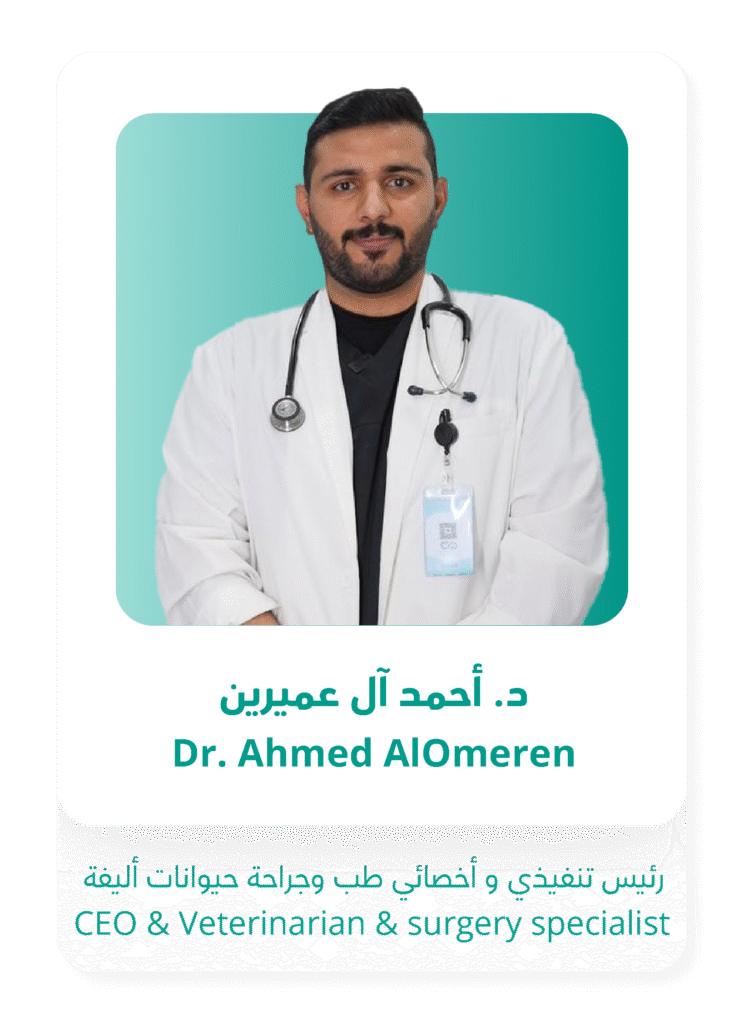 الصفحة الرئيسية