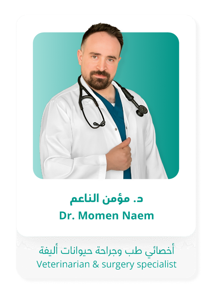 الصفحة الرئيسية